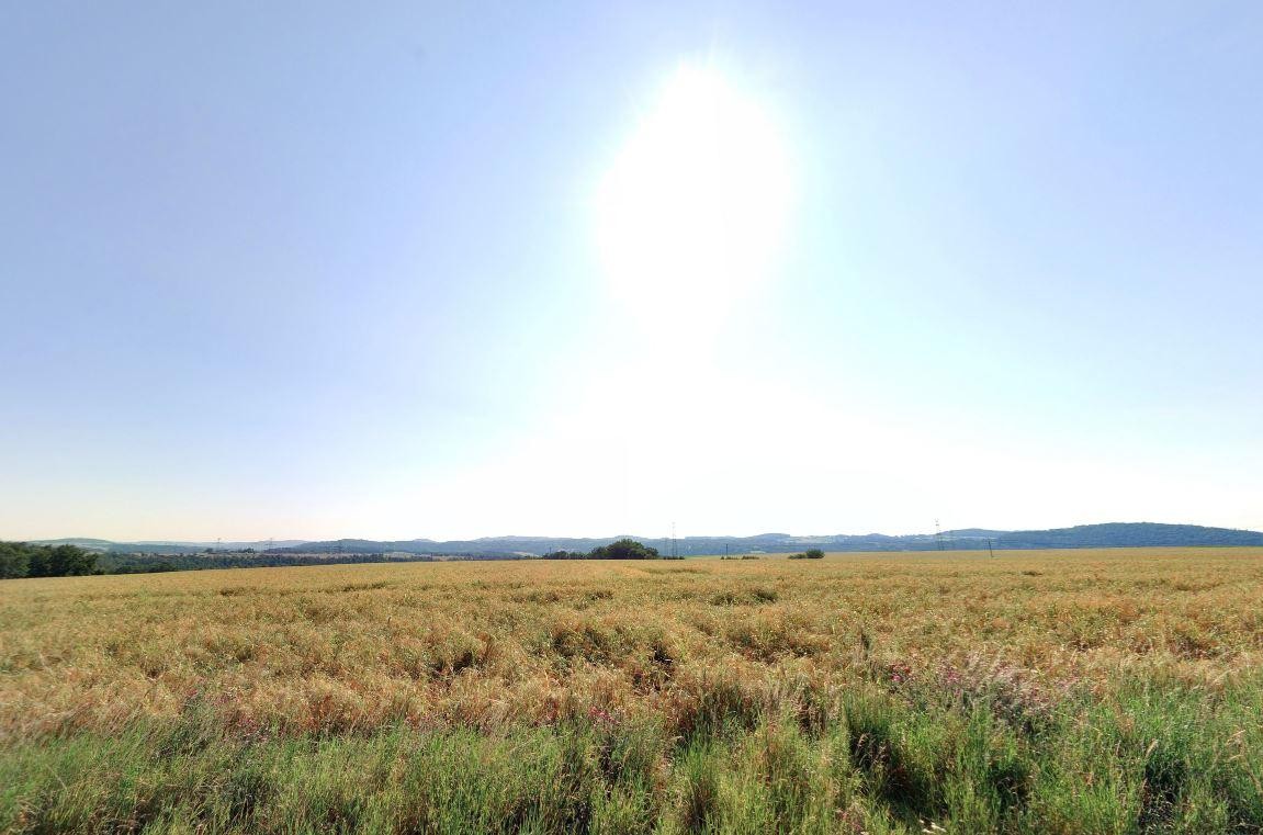 Zemědělský pozemek · 69 285 m² · Bratřínov - 4