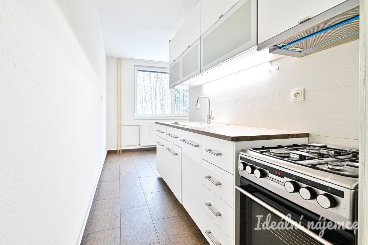 2+1, Voříškova, Brno, 52 m²