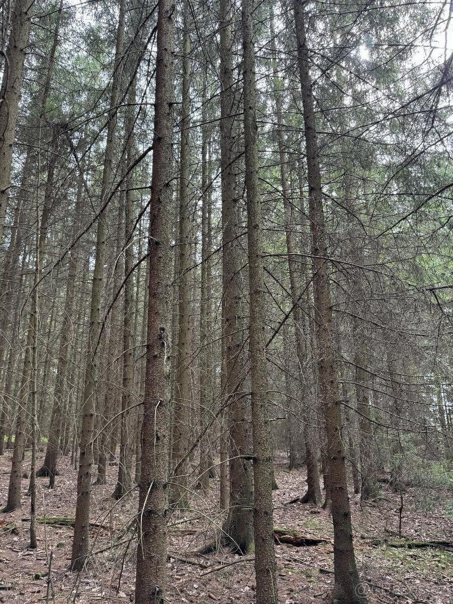 Prodej pozemek pro bydlení - Bernartice u Milevska, 398 43