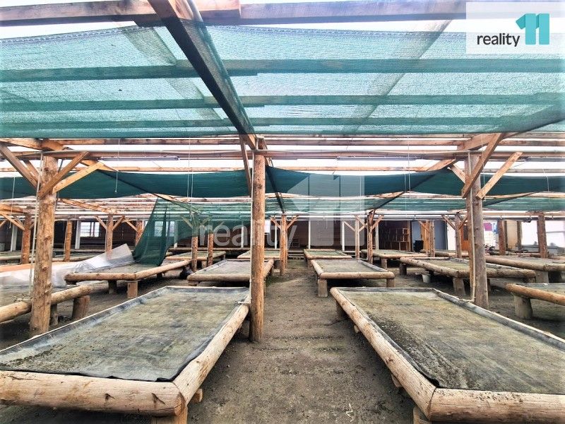 Pronájem pozemek - Libenice, 1 200 m²