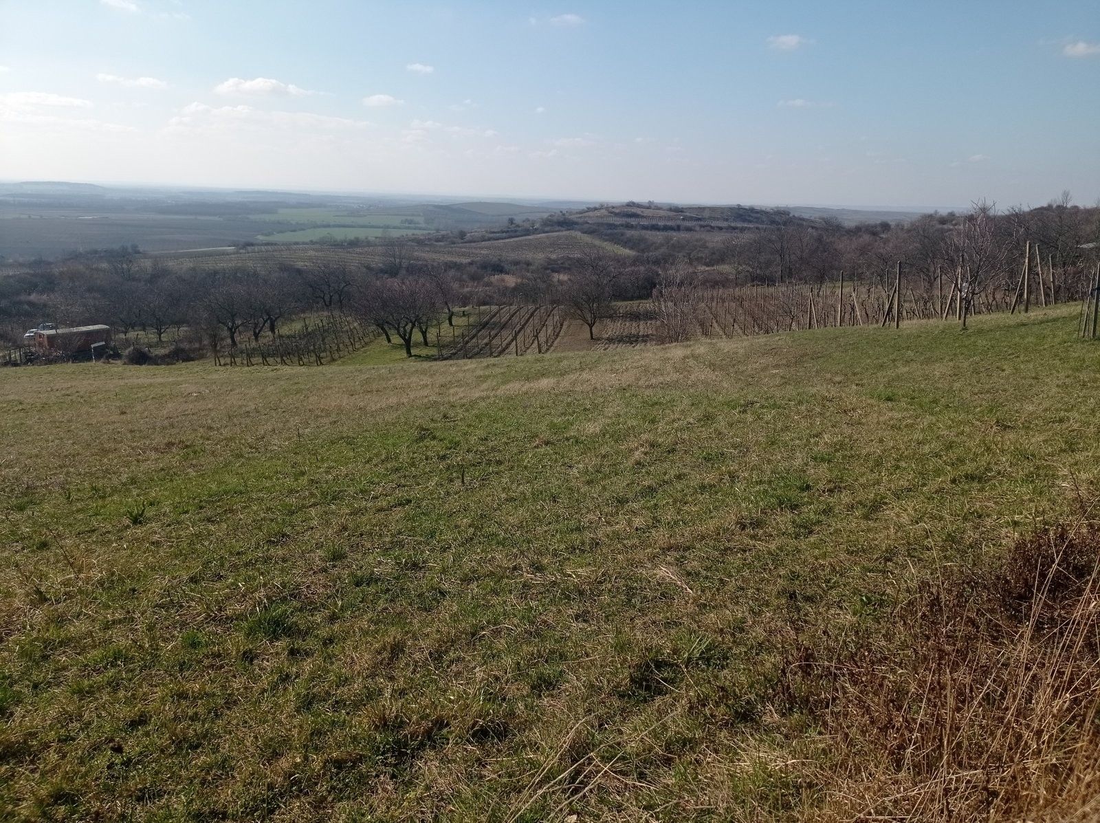 Zahrada · 1 043 m² · Nová 1, Mikulov - 3