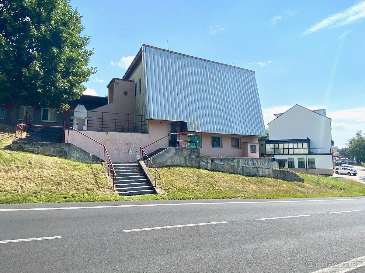 Obchodní prostory, Meziboří u Litvínova, 435 13