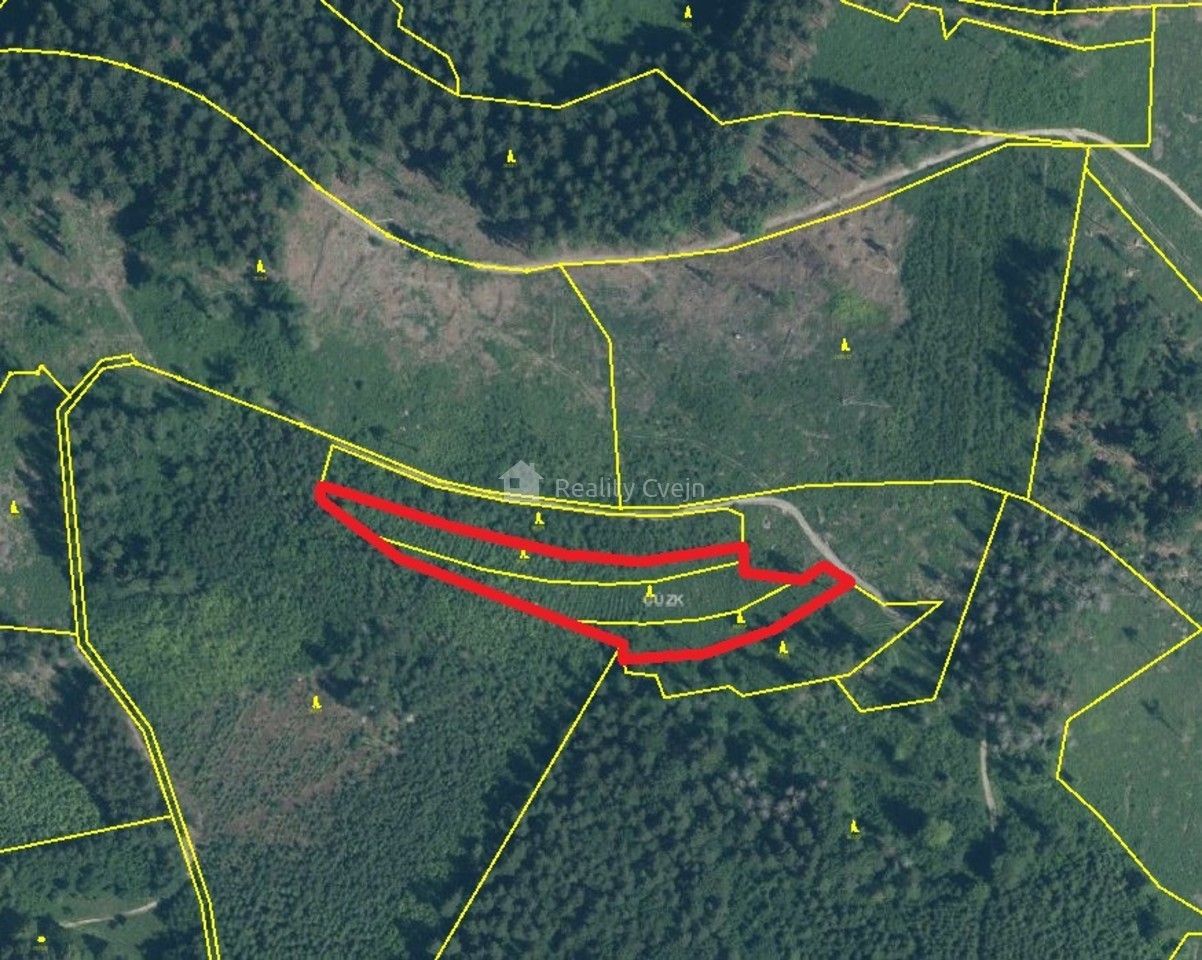 Prodej les - Růžďka, 27 339 m² - 5