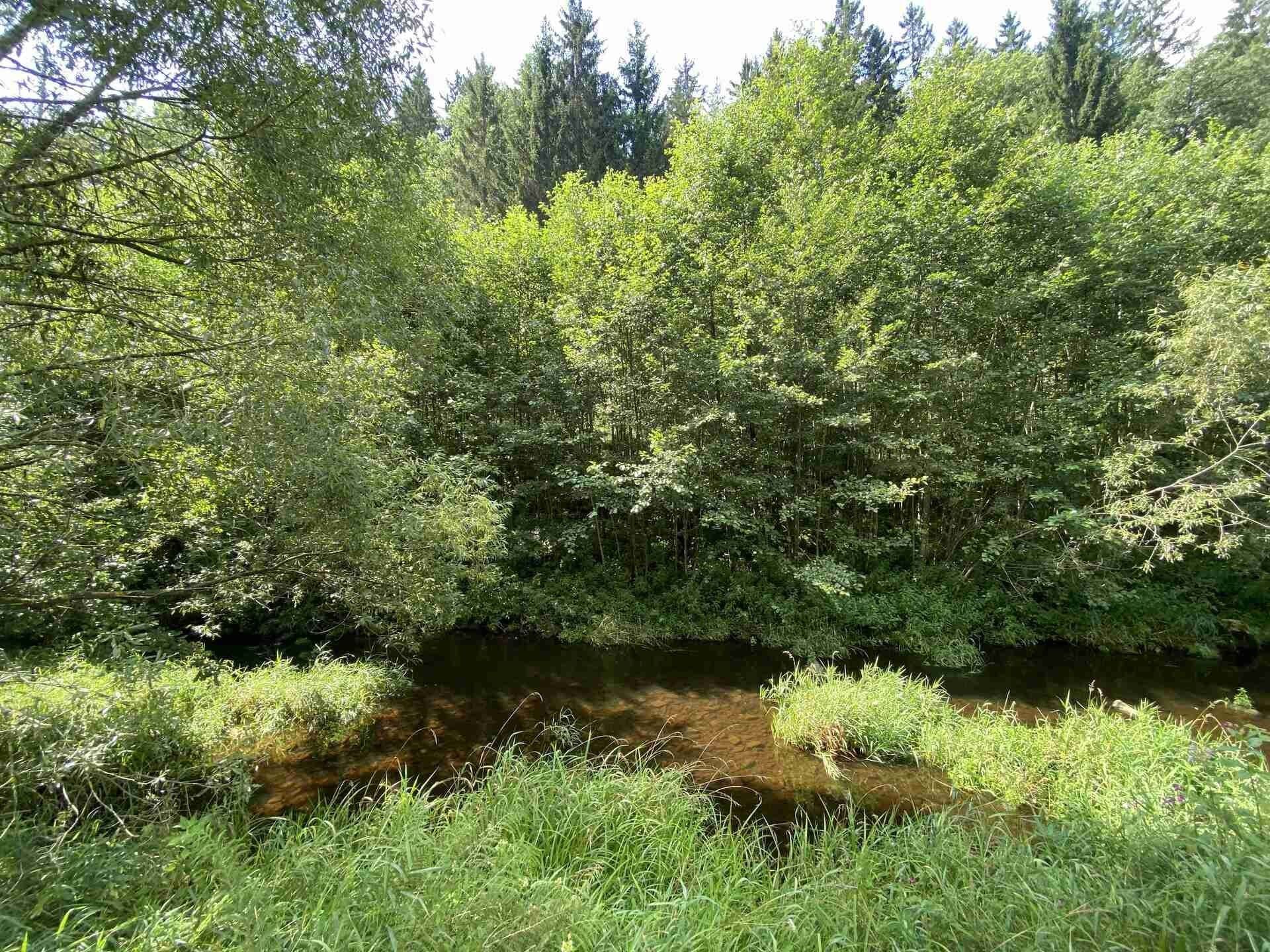 Pozemek · 843 m² · Kaplice Blansko - 4