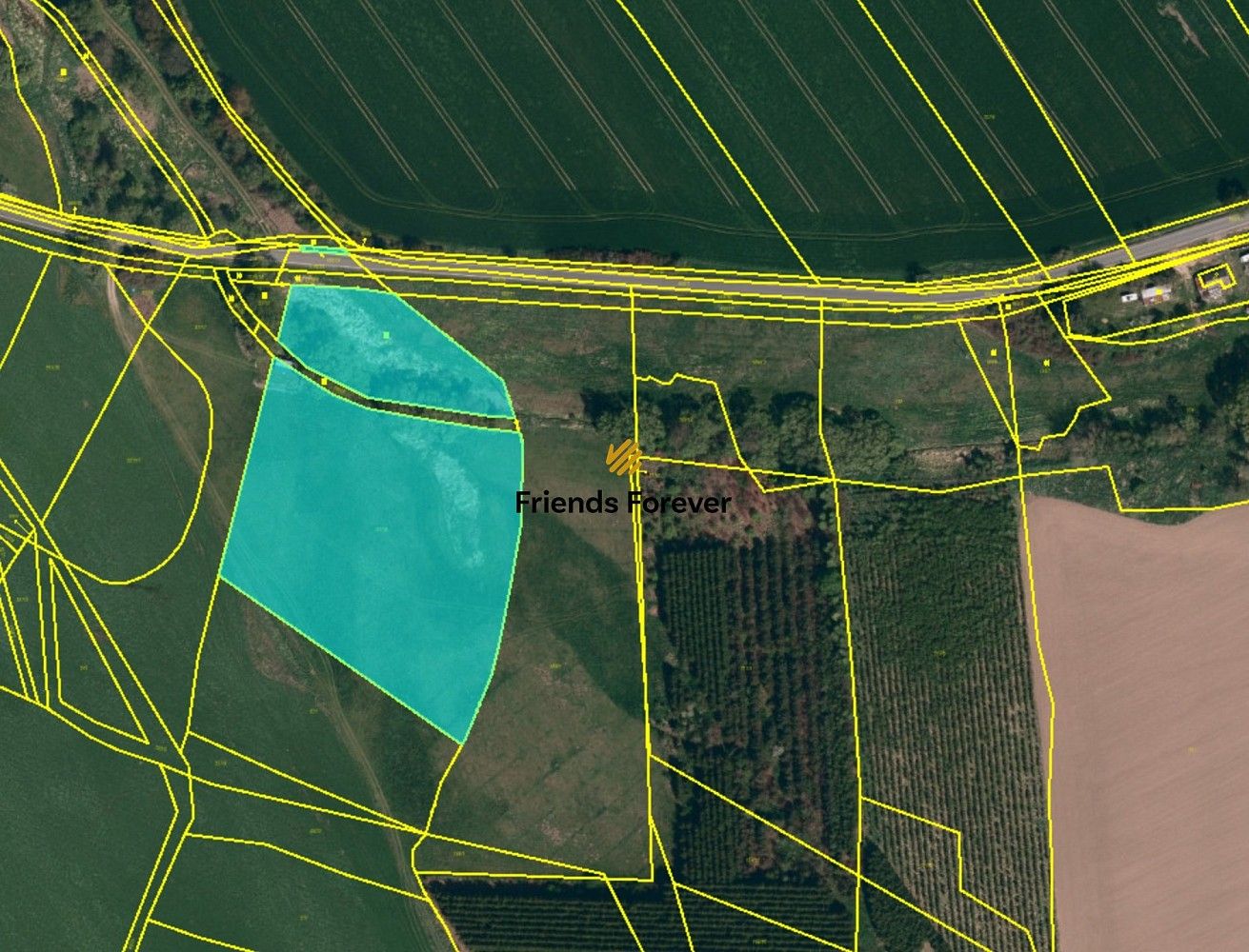 Zemědělský pozemek · Cerekvička-Rosice - Cerekvička, okres Jihlava - 3