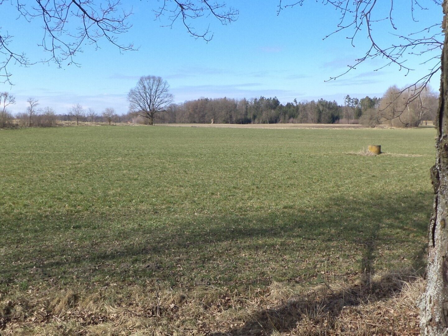Zemědělský pozemek · 5 200 m² · Stříbřec - 4