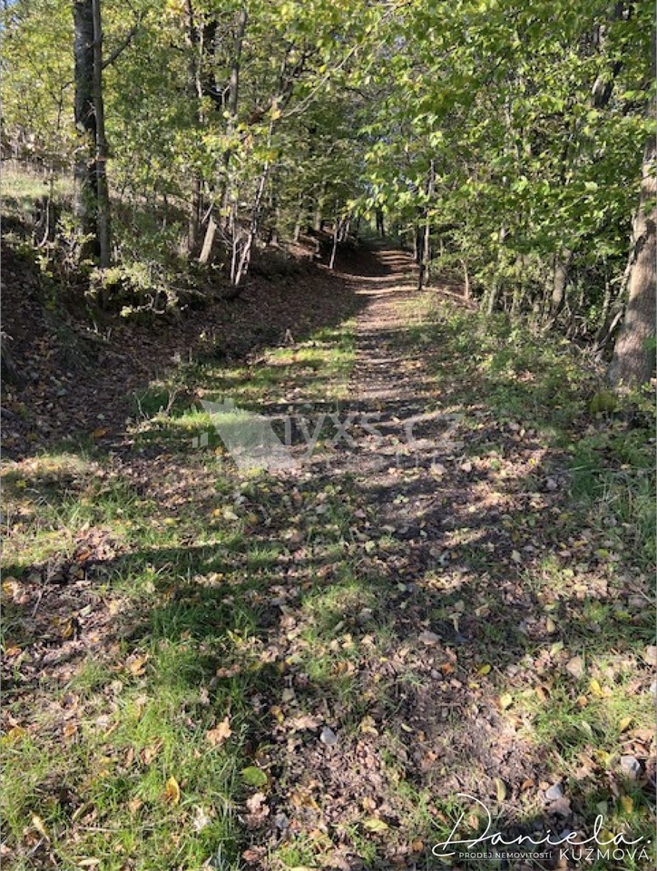 Louky, Všešímy, Kunice, 7 468 m² - 2