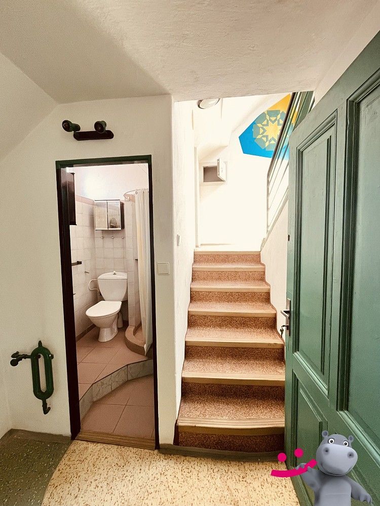Prodej rodinný dům - Růžičkova, Jeseník, 314 m² - 5