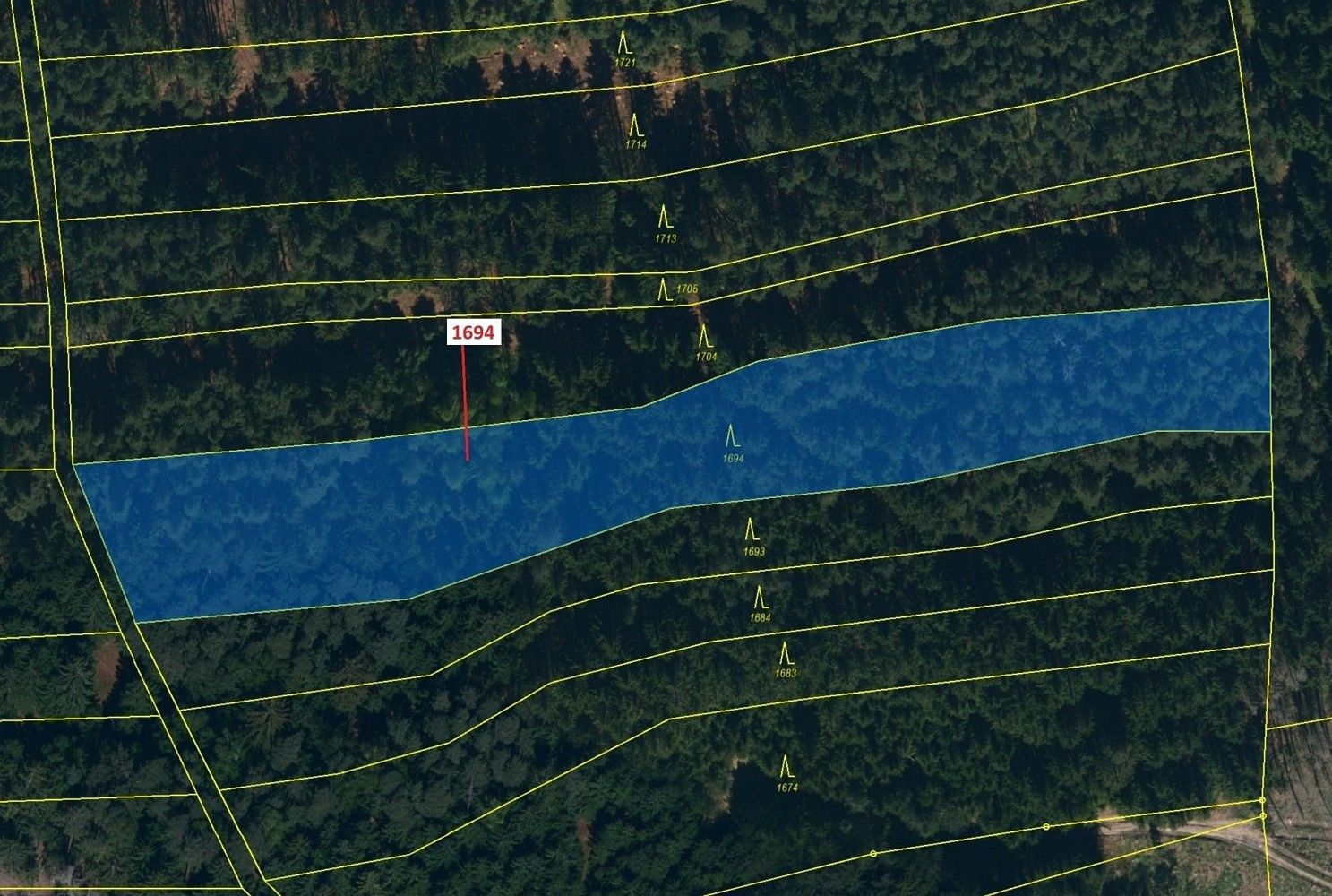 Prodej les - Rodinov, okres Pelhřimov, Kraj Vysočina - 2