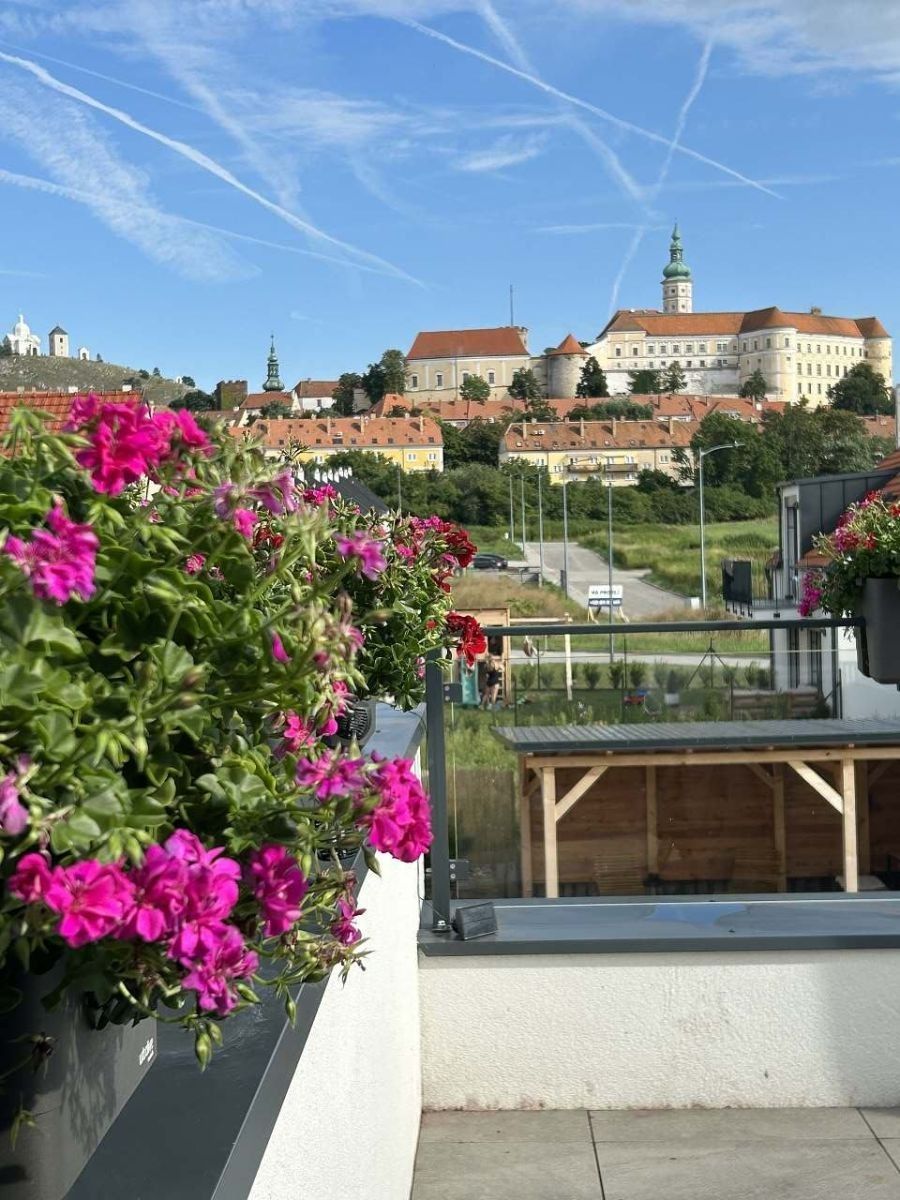 Chata · Mikulov na Moravě, Jihomoravský kraj - 3
