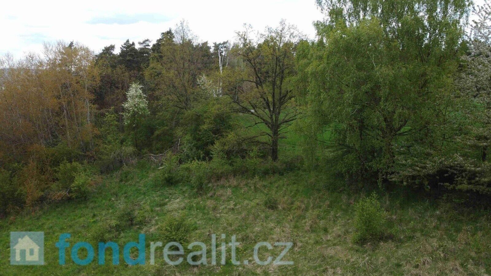 Zemědělský pozemek · 16 180 m² · Křenov - 3
