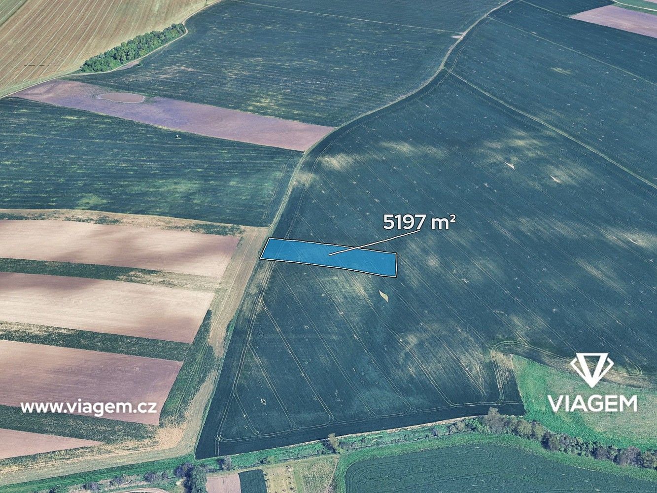 Zemědělské pozemky, Velké Němčice, okres Břeclav, Jihomoravský kraj