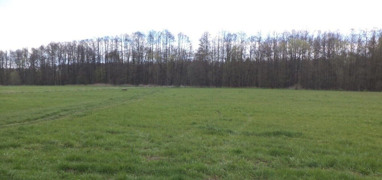 Prodej zemědělský pozemek - Tachov, 55 m²