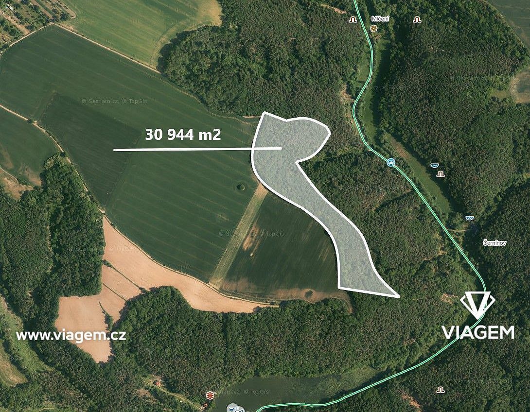 Les · Kokořín, okres Mělník, Středočeský kraj - 4