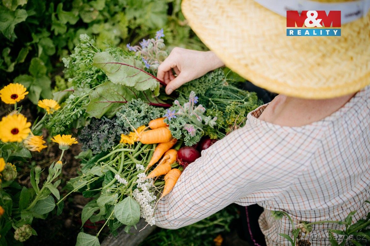 Prodej pozemek pro bydlení - Sušice, 342 01