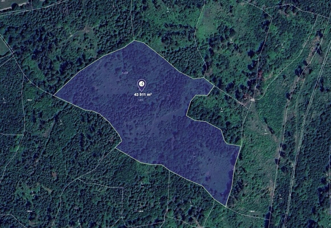 Les, 43 911 m²