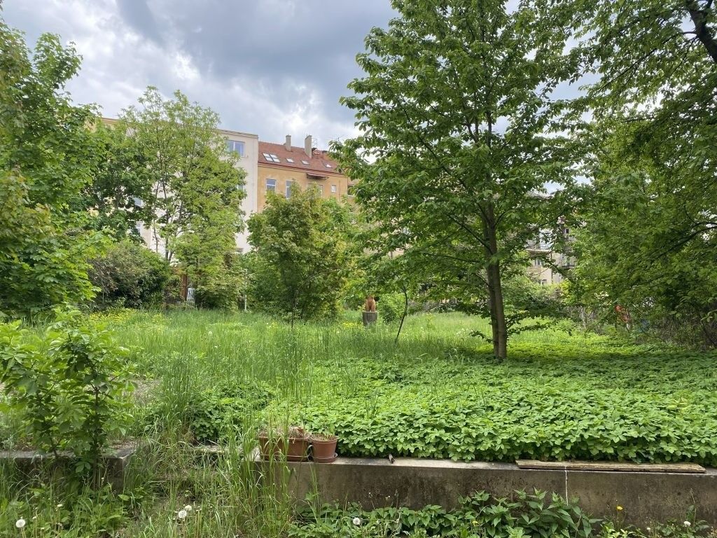 Zahrady, Brno, 602 00, 446 m²