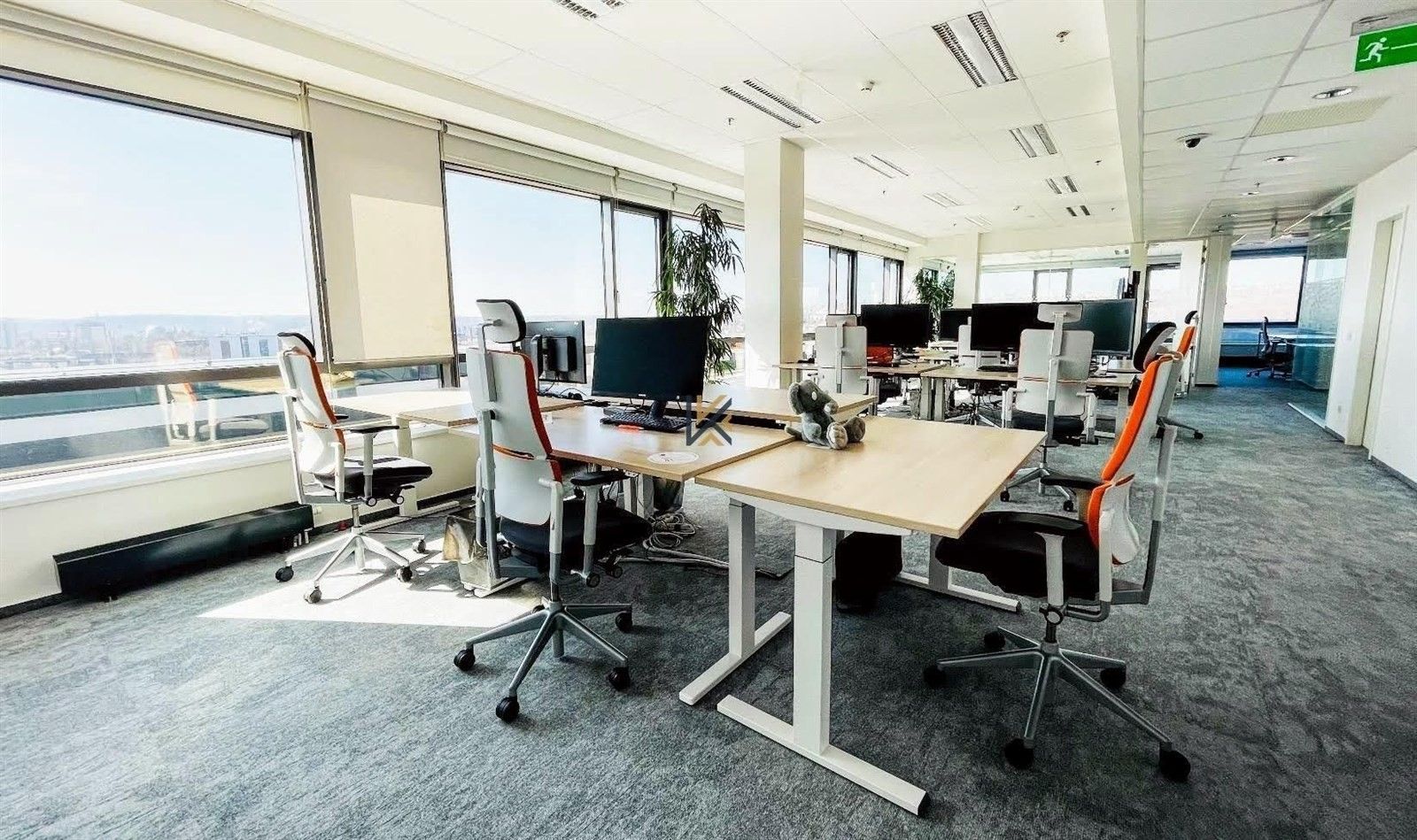 Pronájem kancelář - Českomoravská, Praha, 293 m²