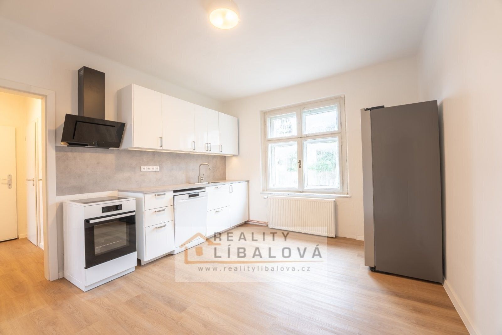 2+1, Gočárova, Ústí nad Labem, 61 m²