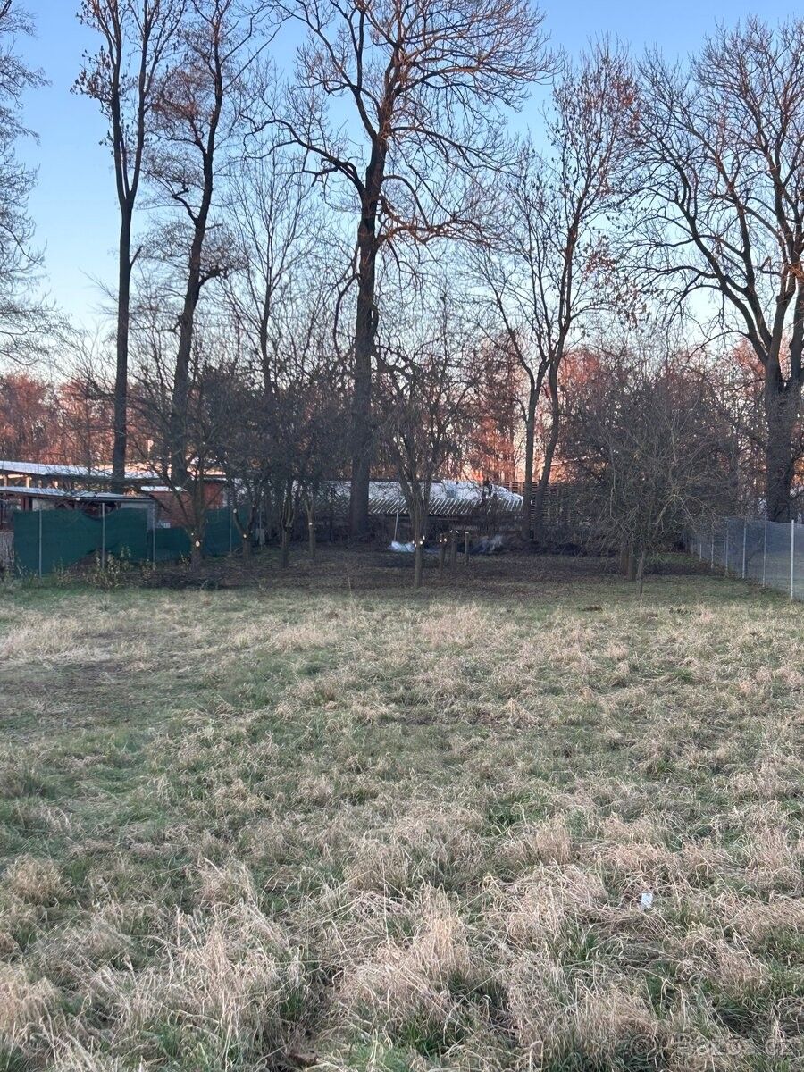 Pozemky pro bydlení, Olomouc, 779 00