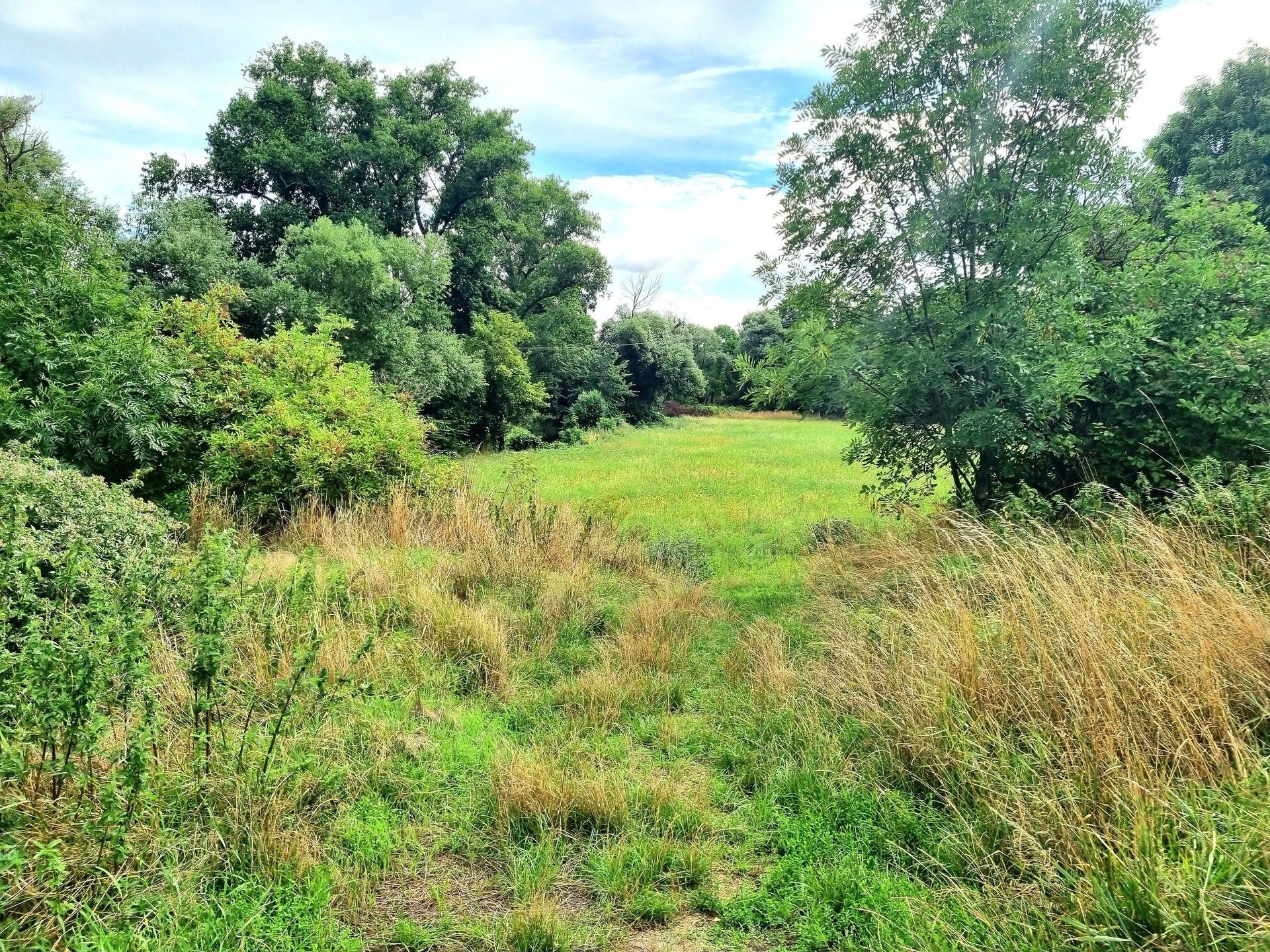 Pozemky pro bydlení, Nezabylice