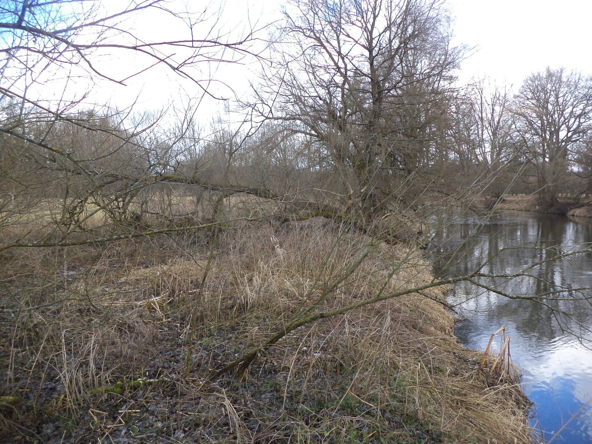 Ostatní, Novosedly nad Nežárkou, 6 m²