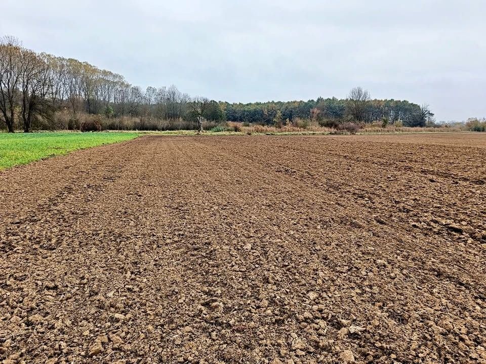 Pozemky pro bydlení, Ostrožská Nová Ves, 687 22