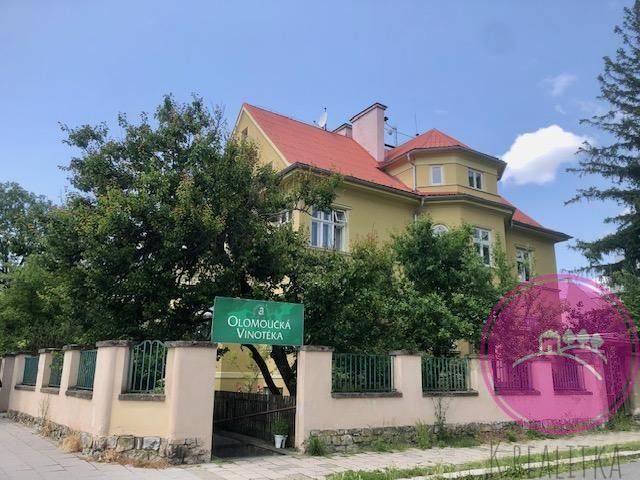 Obchodní prostory, Karolíny Světlé, Olomouc, 55 m²