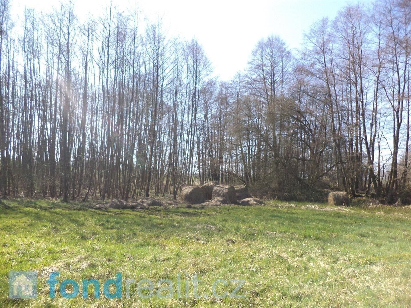 Prodej pozemek - Dolní Pěna, 4 m²