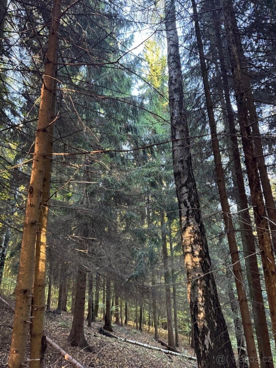 Prodej pozemek pro bydlení - Ruda nad Moravou, 789 63