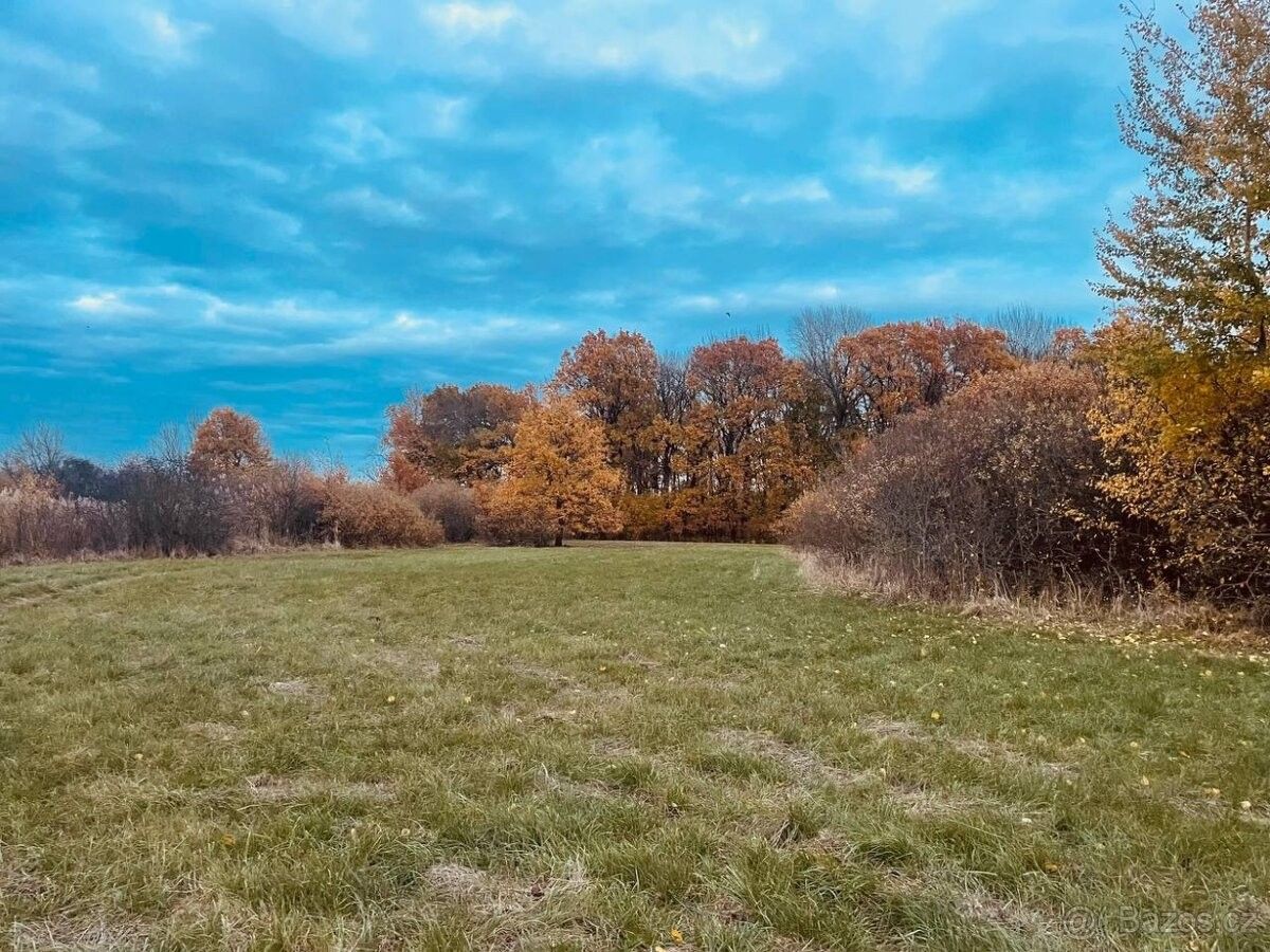 Prodej pozemek pro bydlení - Břeclav, 690 02