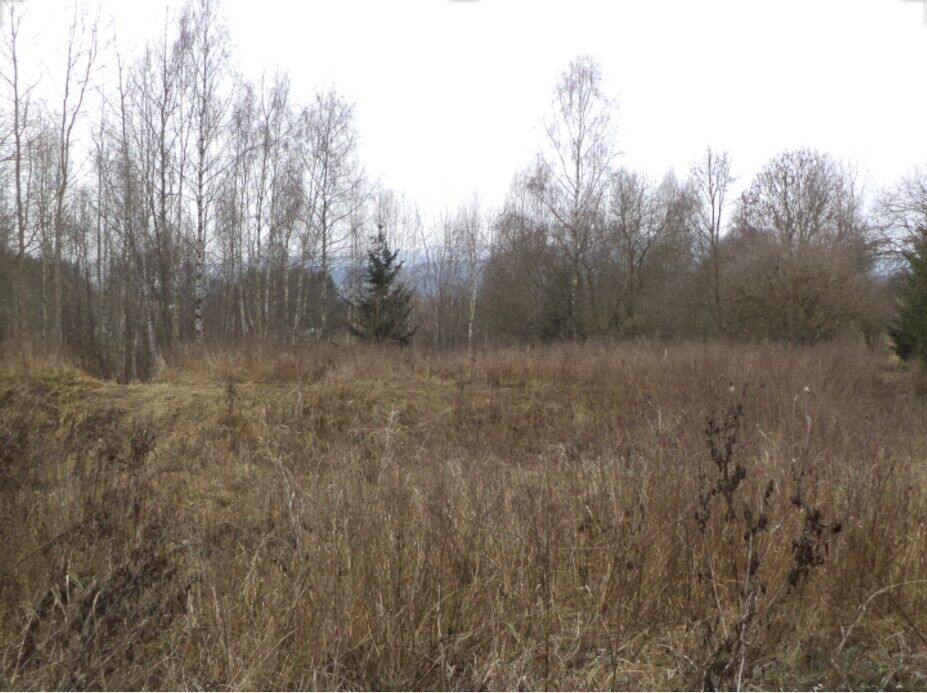 Ostatní, Horní Planá, 1 390 m² - 1