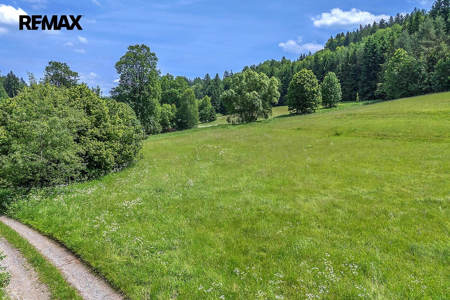 Pozemky pro bydlení, Červená Voda, okres Ústí nad Orlicí, Pardubický kraj - 2