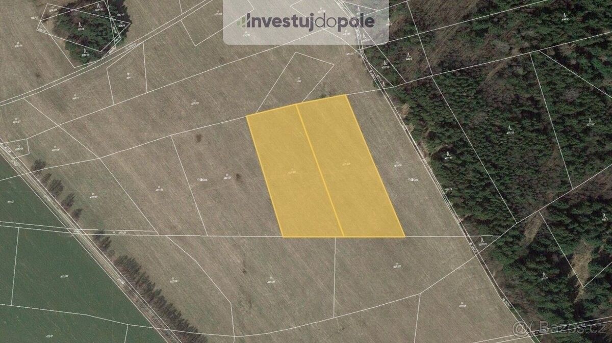 Prodej louka - Borová u Poličky, 569 82, 13 175 m²