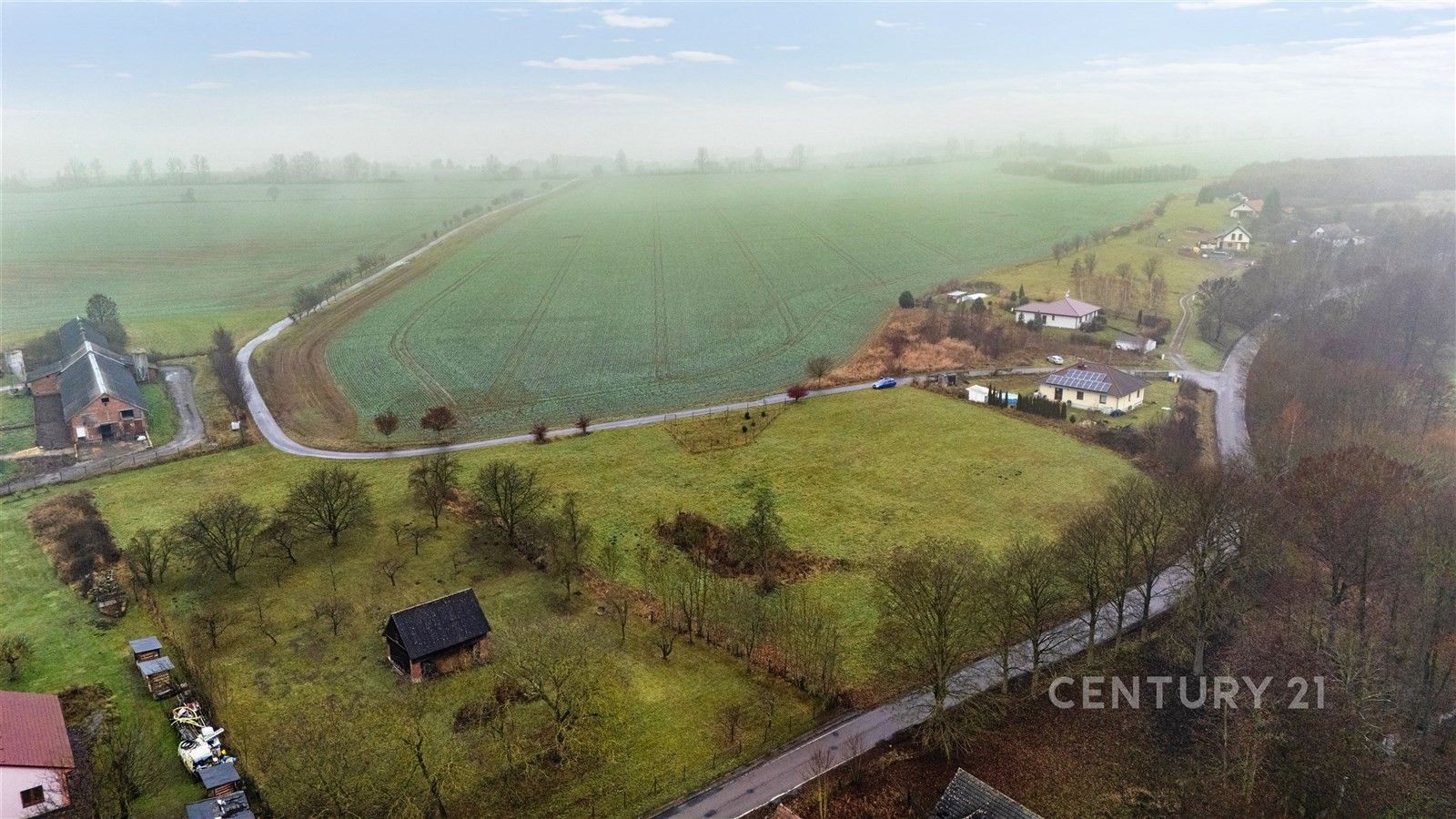 Prodej zemědělský pozemek - Litíč