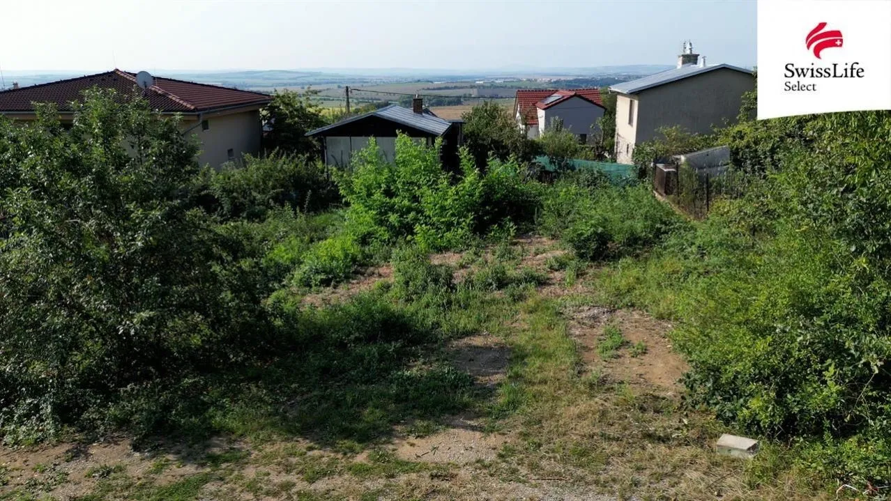 Ostatní