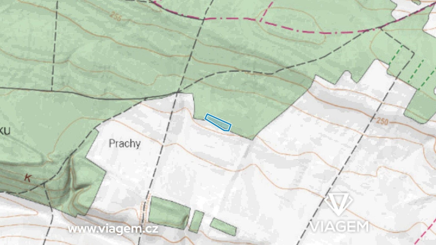Les · Sudovo Hlavno, okres Praha-východ, Středočeský kraj - 3