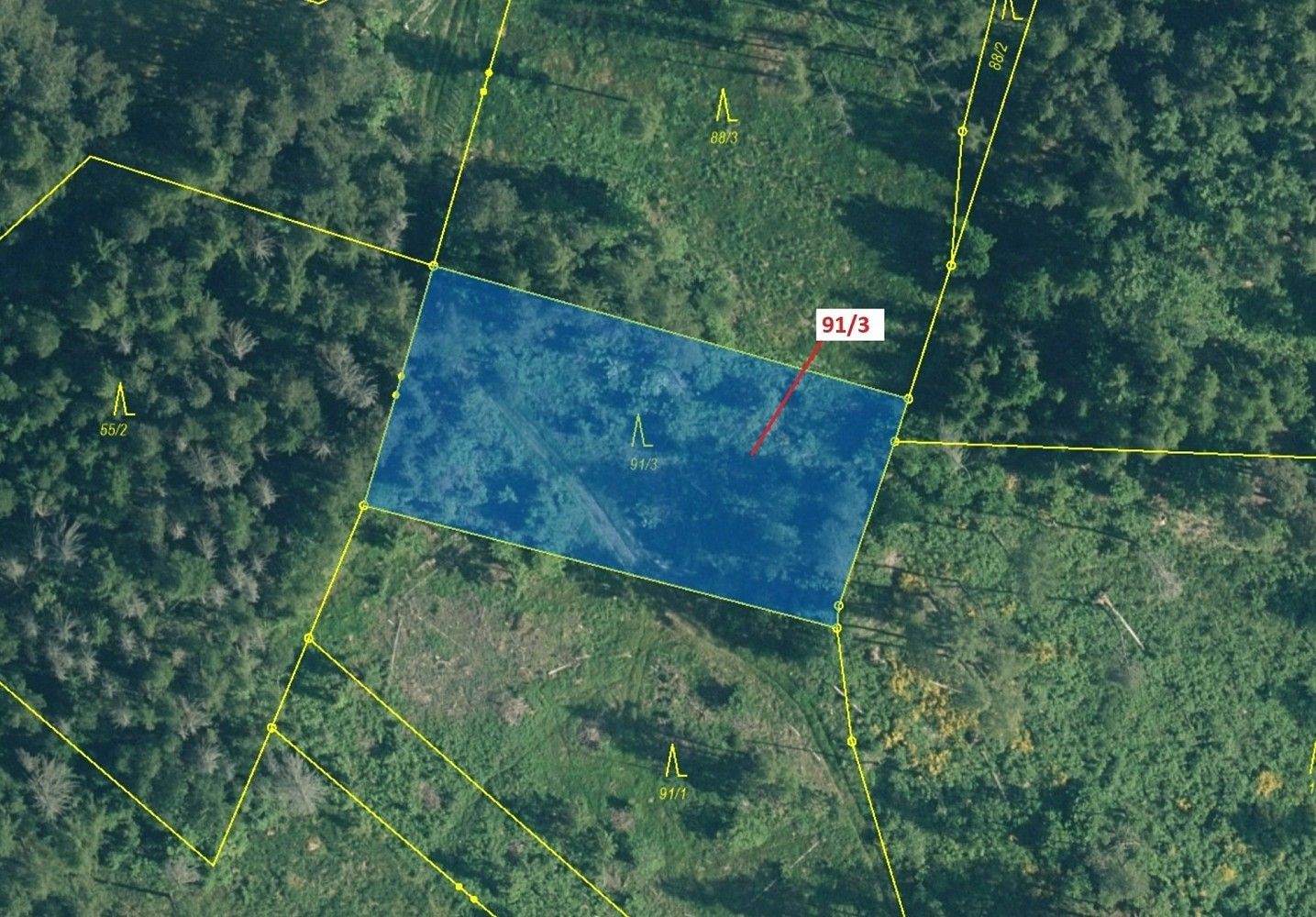 Prodej les - Pačejov, okres Klatovy, Plzeňský kraj - 2