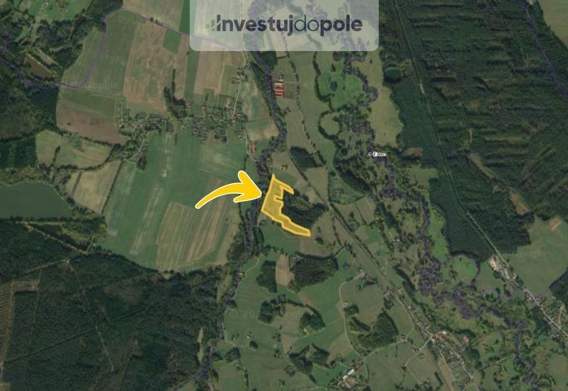 Prodej pozemek - Dvory nad Lužnicí, 54 200 m²