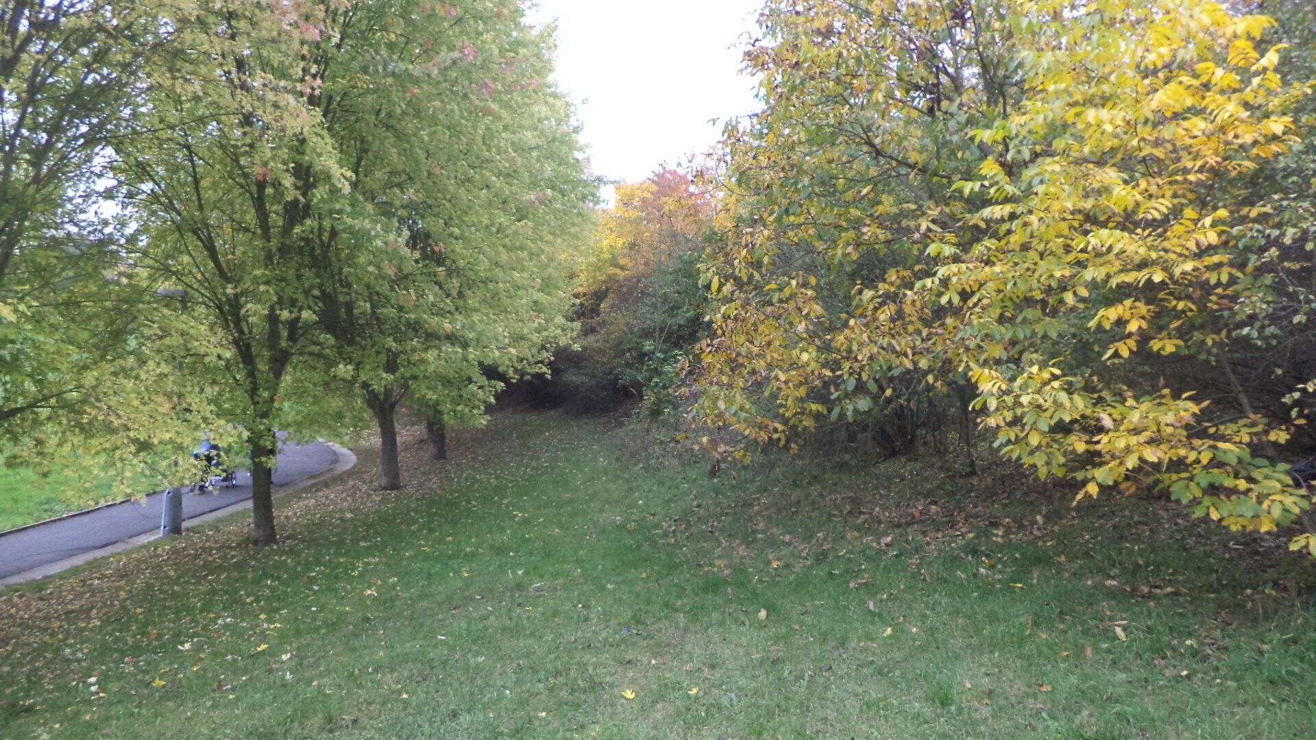 Ostatní, Ústí nad Labem, 570 m² - 2