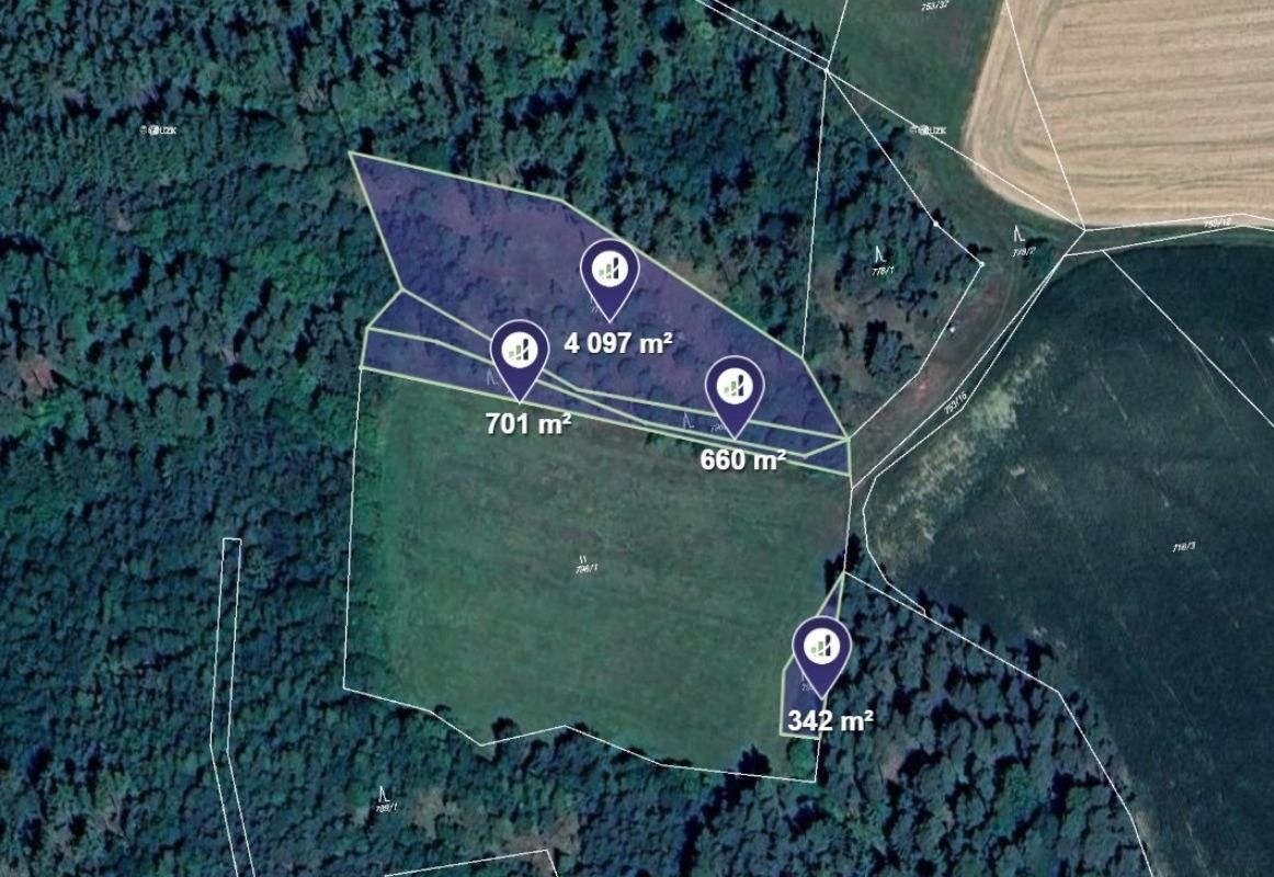 Lesy, Čepřovice, 5 800 m²