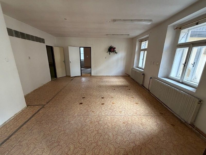 Prodej obchodní prostory - Pelhřimov, Kraj Vysočina, 250 m² - 5