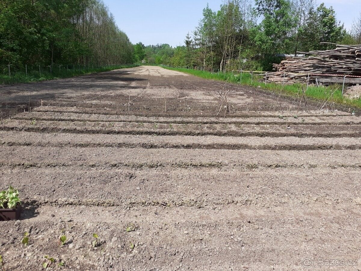 Zahrady, Ostrava, 717 00