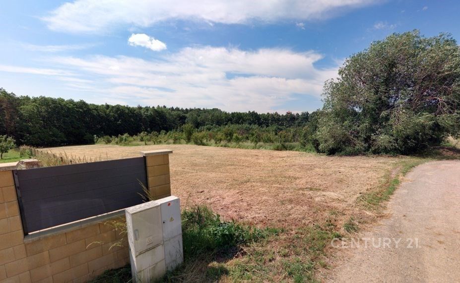 Pozemek pro bydlení · Olšany - 4