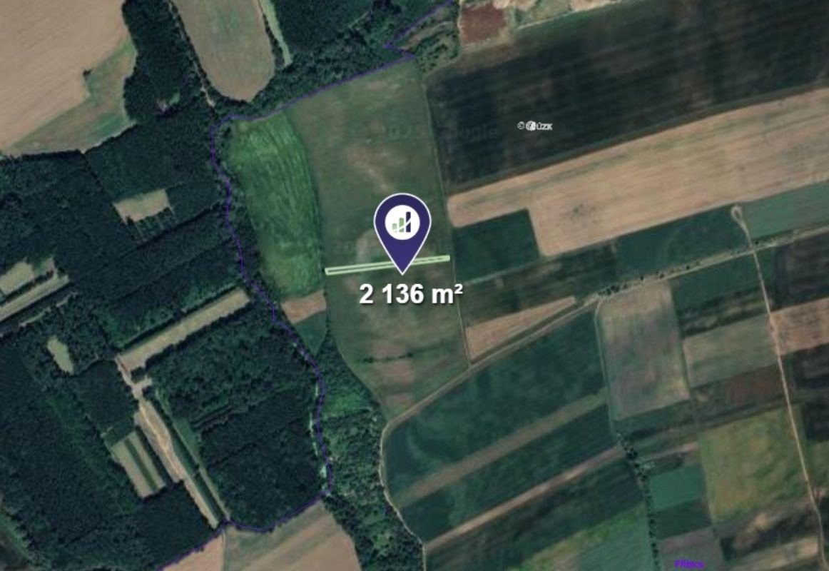Zemědělské pozemky, Přibice, 2 136 m² - 2