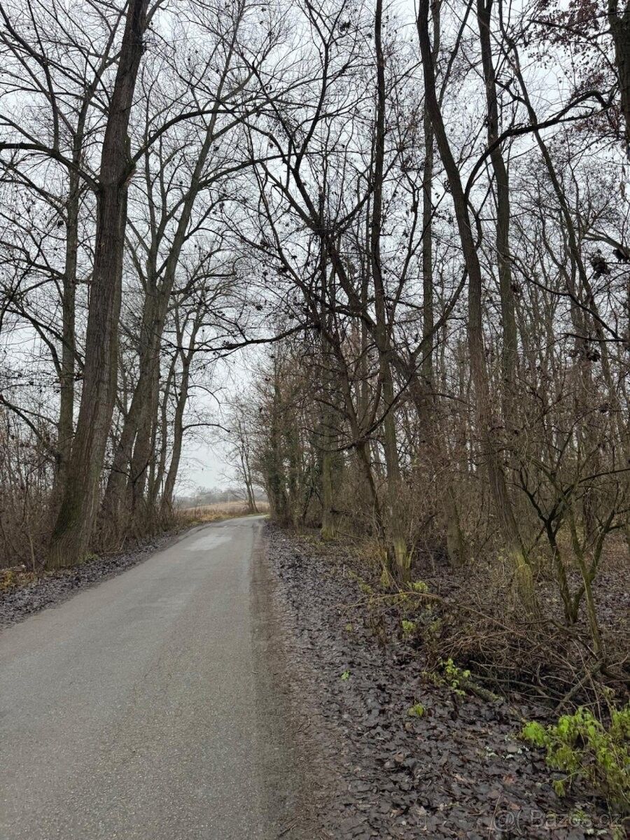 Prodej pozemek pro bydlení - Mutěnice, 696 11