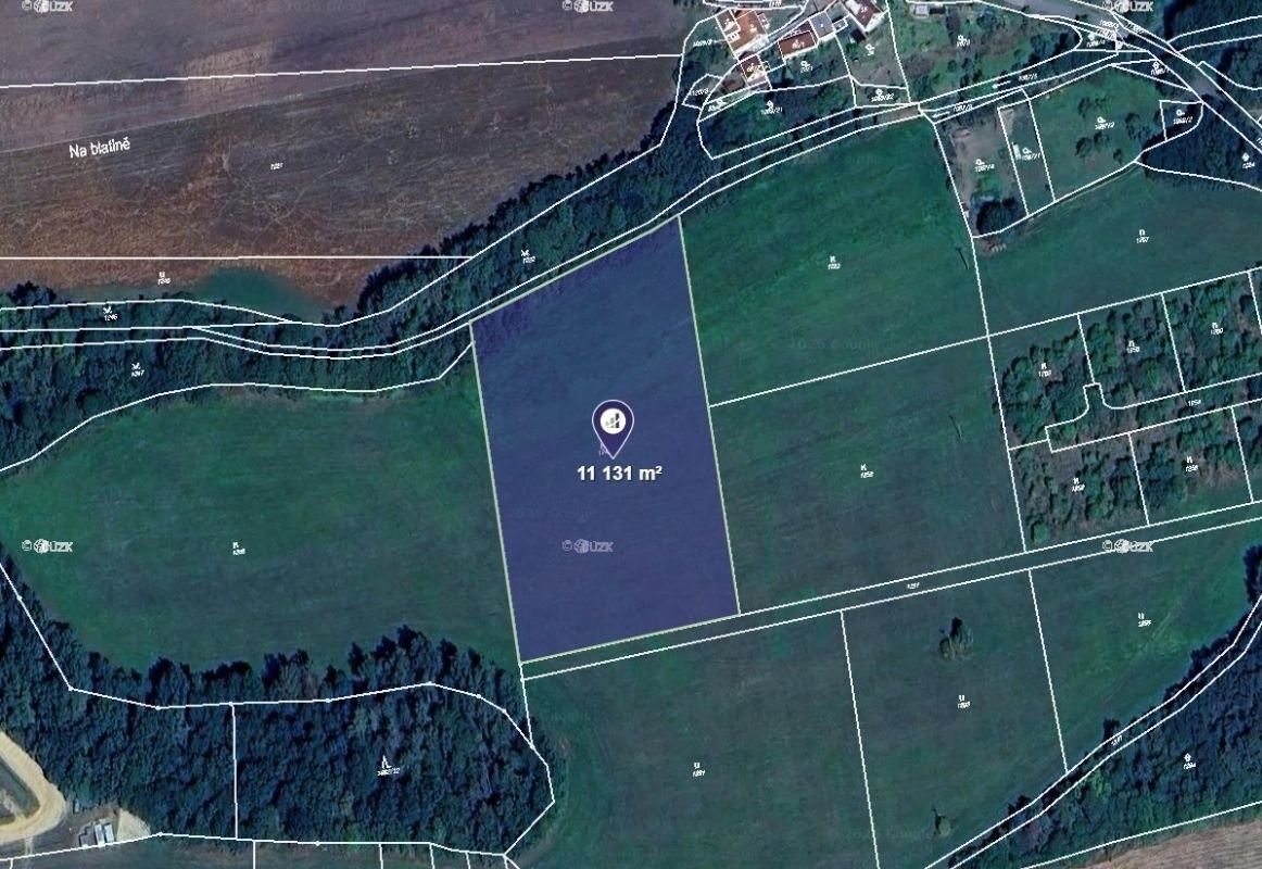 Louky, Břasy - 1