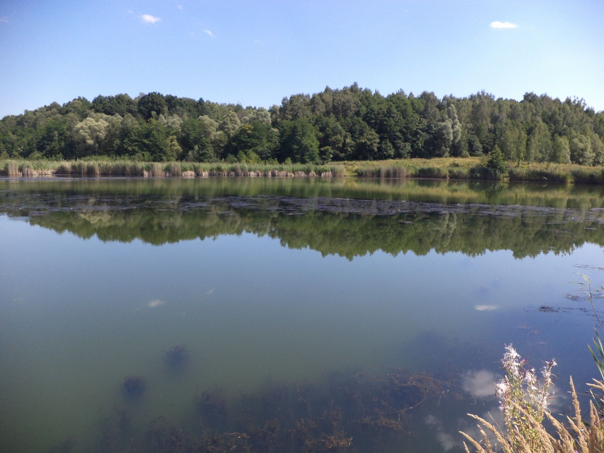 Prodej pozemek - Stonava, 1 m²