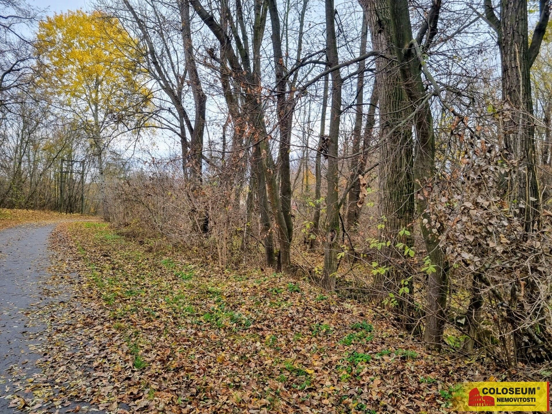 Pozemky pro bydlení, Čechyně, Rousínov