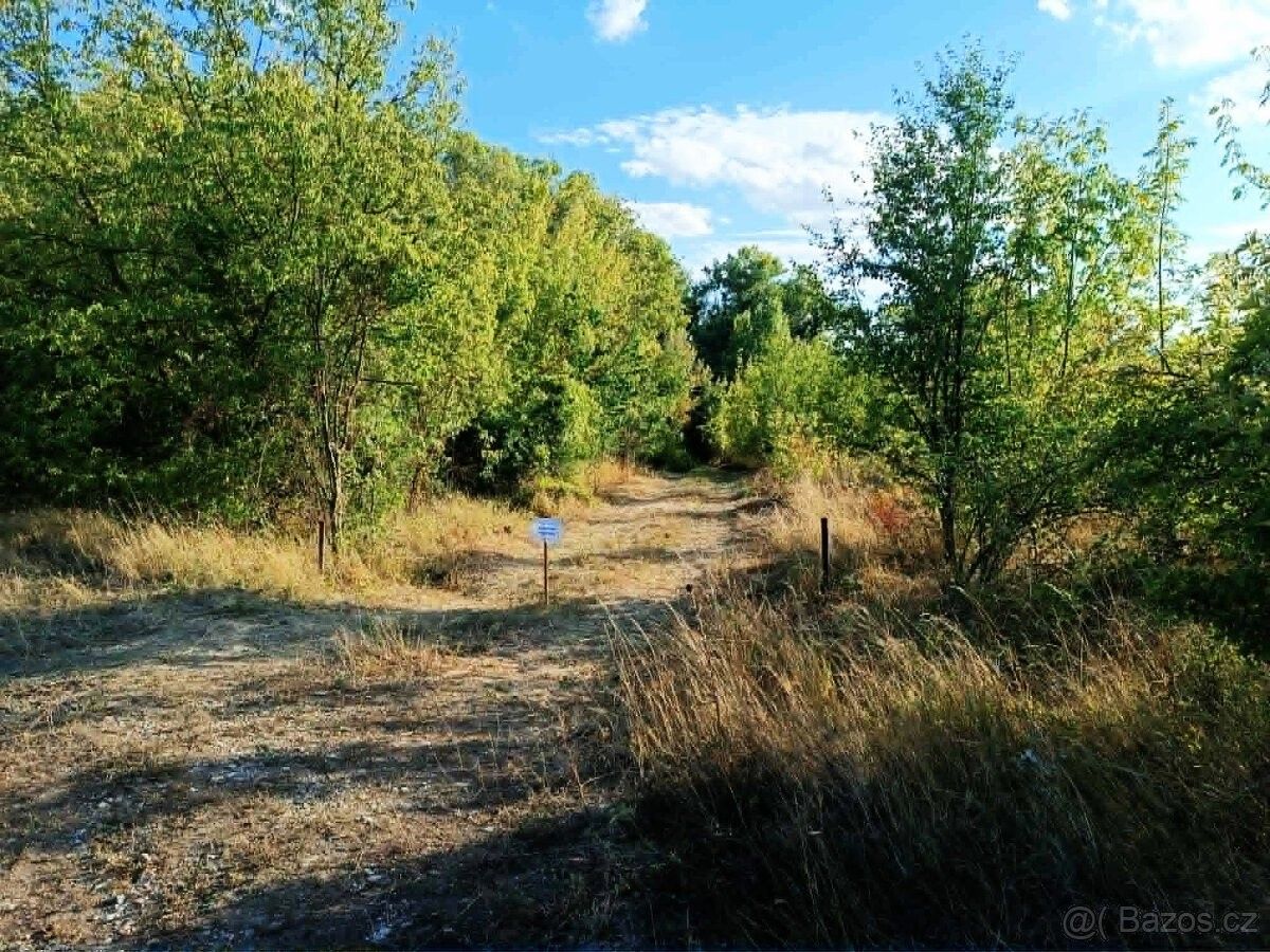 Pozemky pro bydlení, Uherčice u Hustopečí, 691 62 - 2